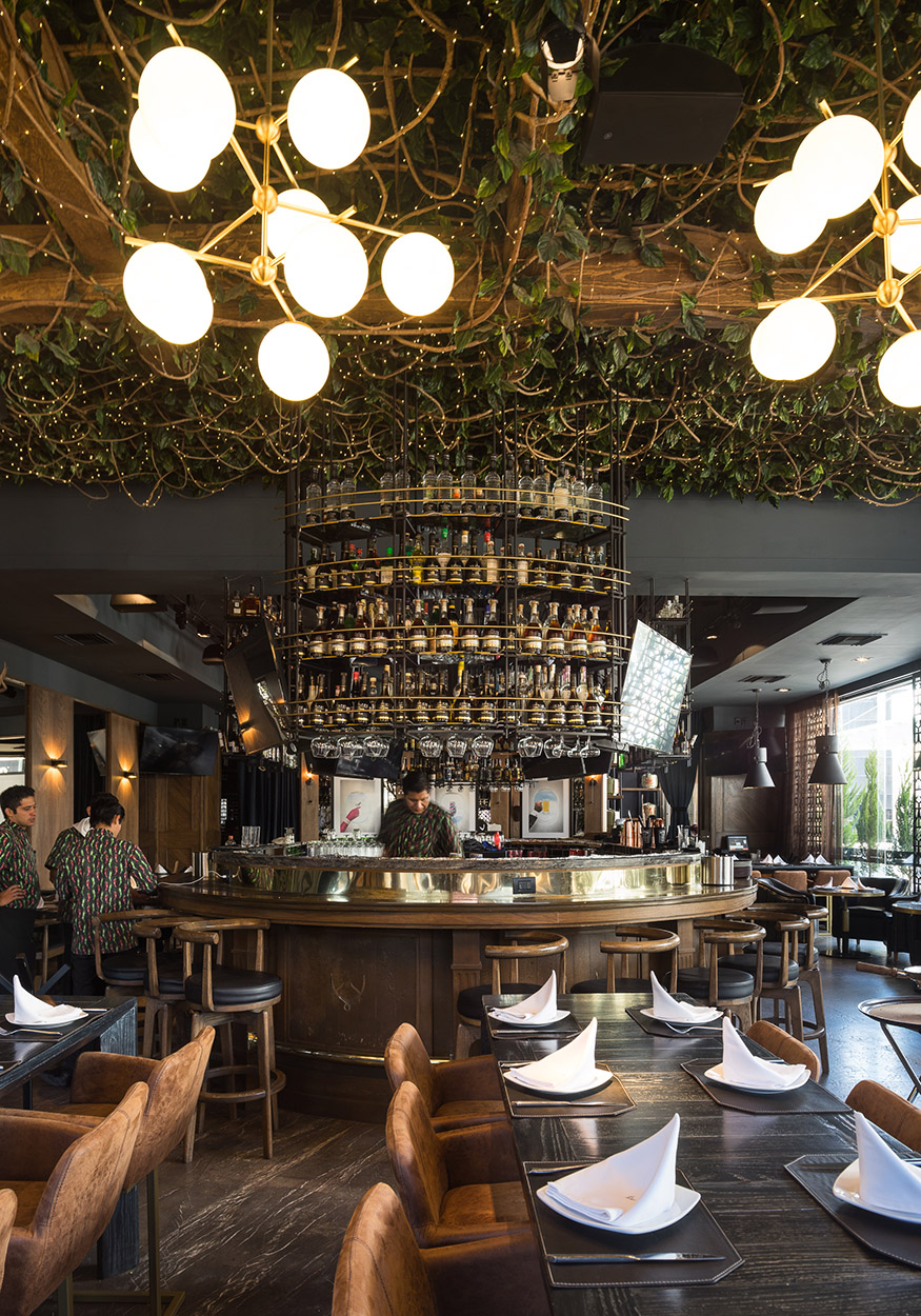 墨西哥的莫乔莫斯-12