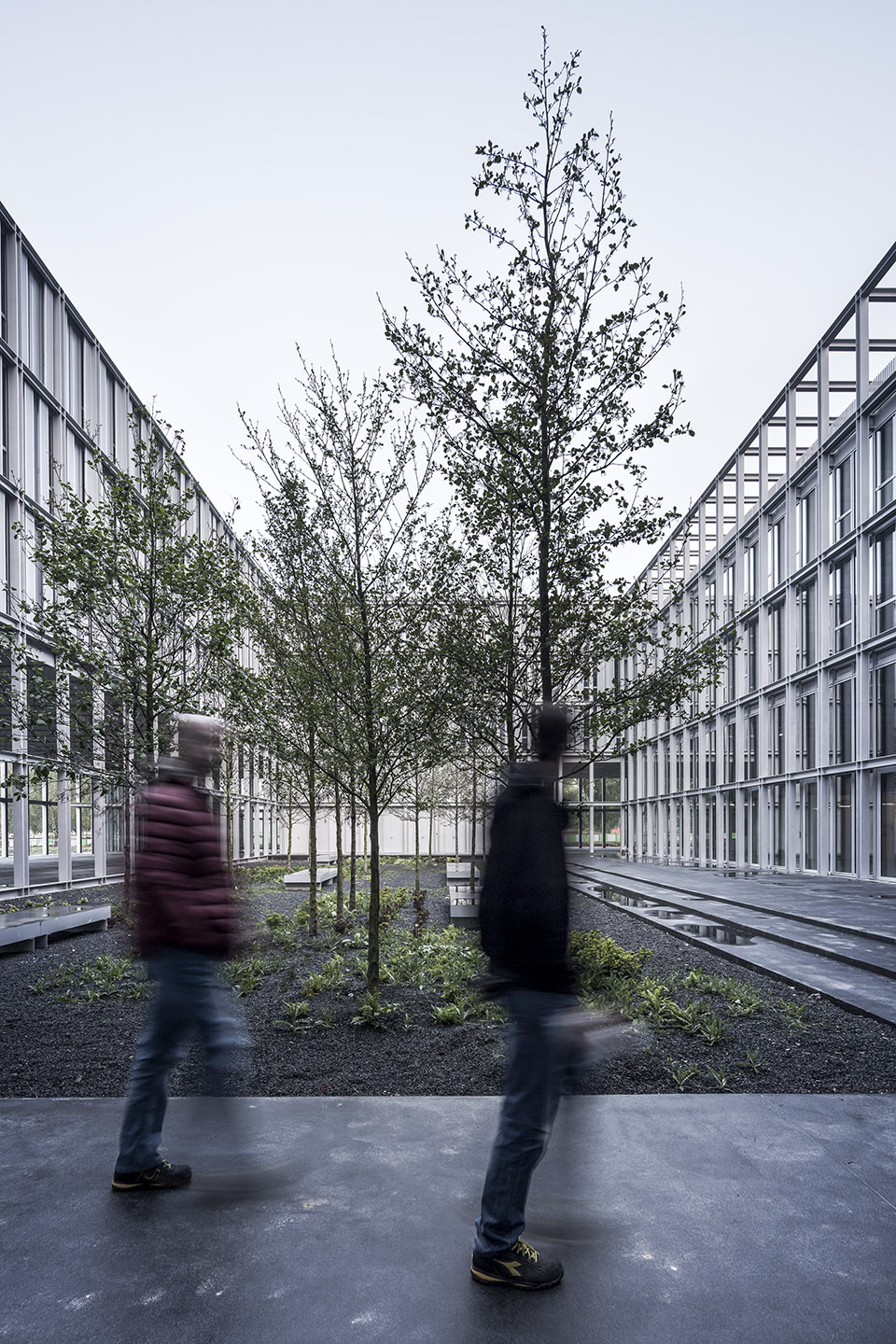 ENSAE学院巴黎萨克雷校区，法国/轻盈的钢结构带来开放、友好而宁静的氛围-56