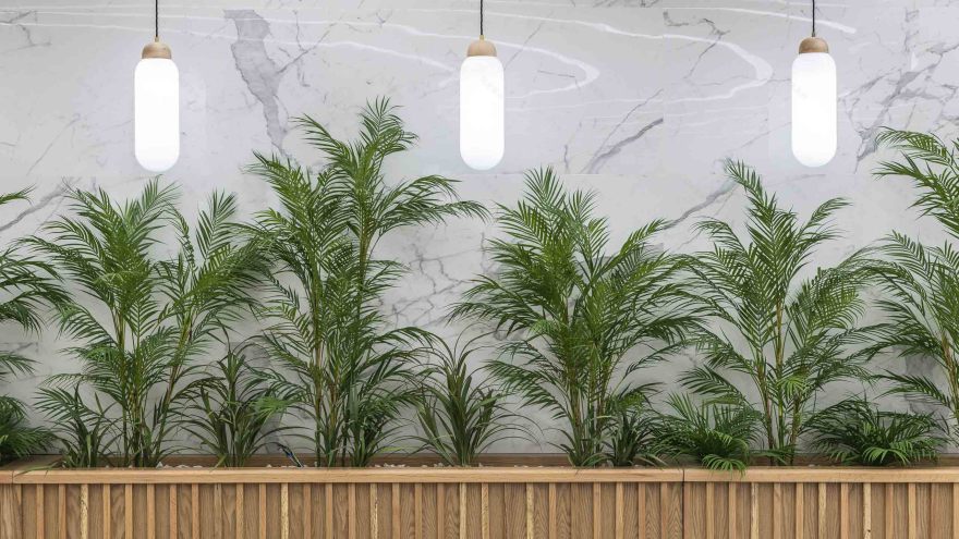 扎伊迪购物中心-12