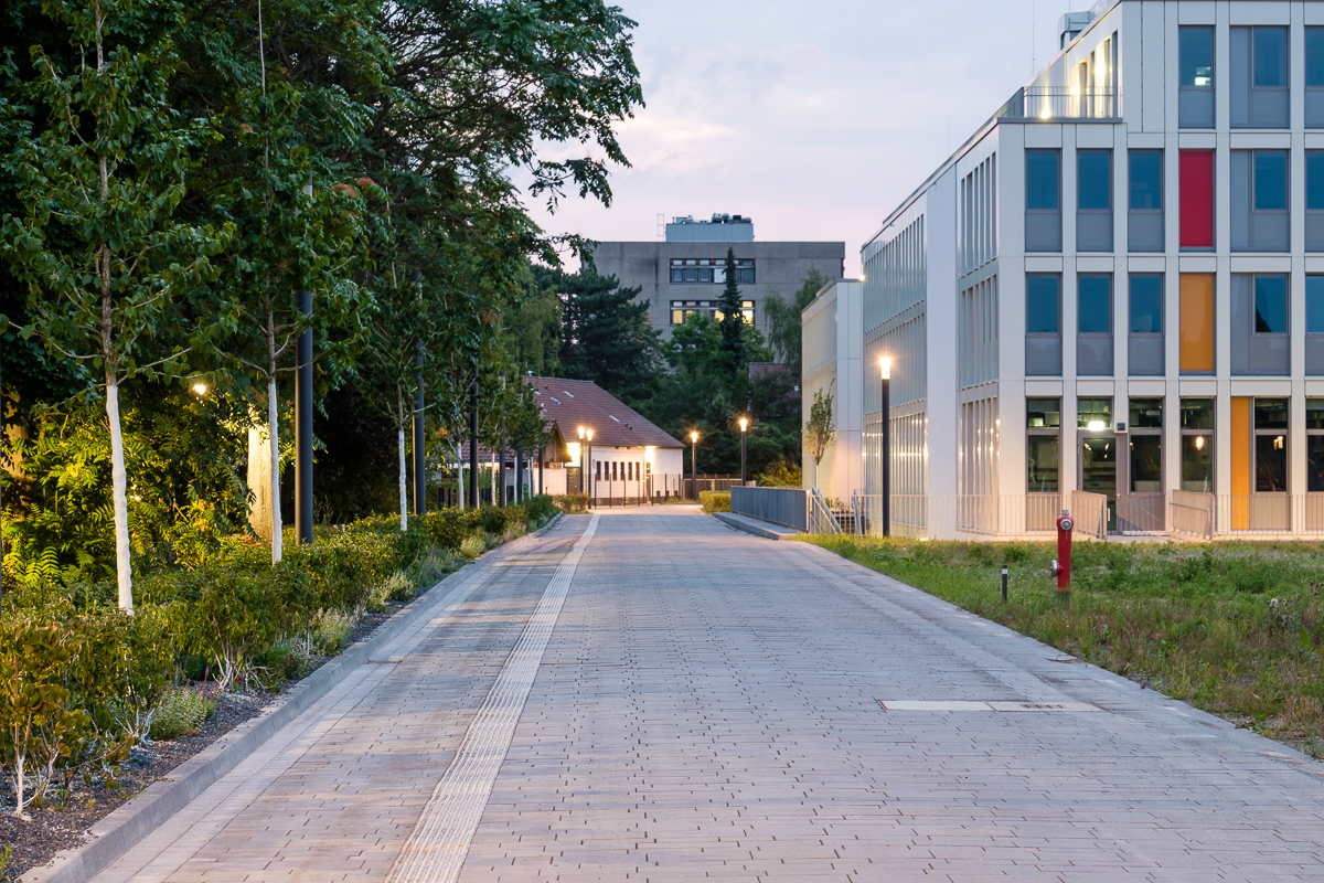 波恩大学校园开放空间，德国/承继当地园艺传统，重新激活校园空间-48