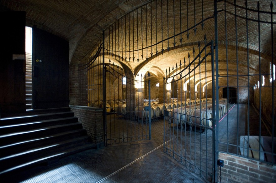 意式酒庄扩建,透明“酒囊”嵌入山丘-7