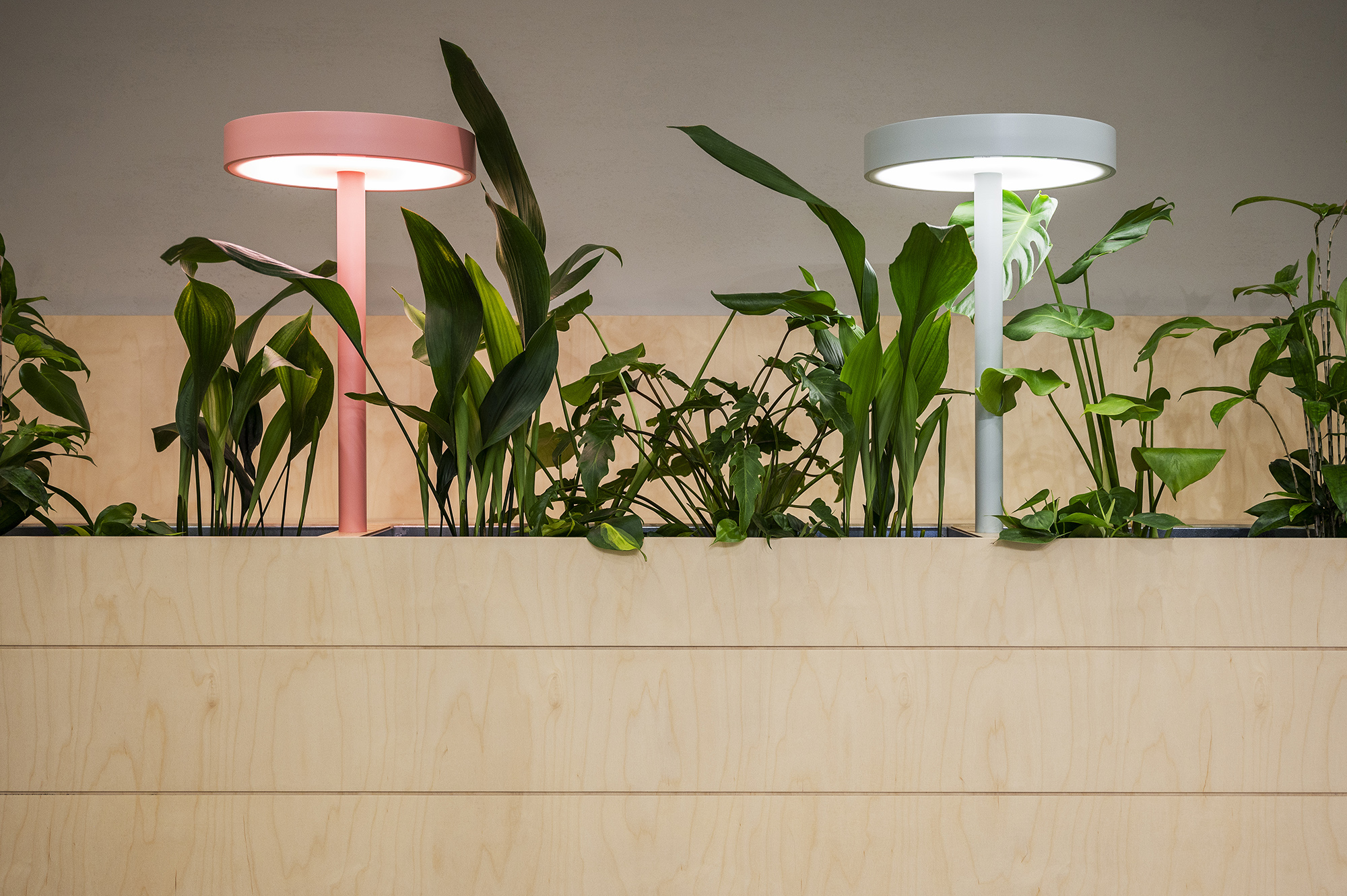 Telenor Budapest 旗舰店 | 温馨社区办公空间-13