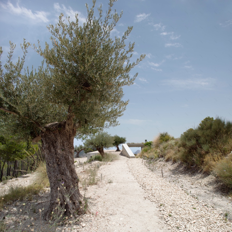 迈格莫山上的房子-9