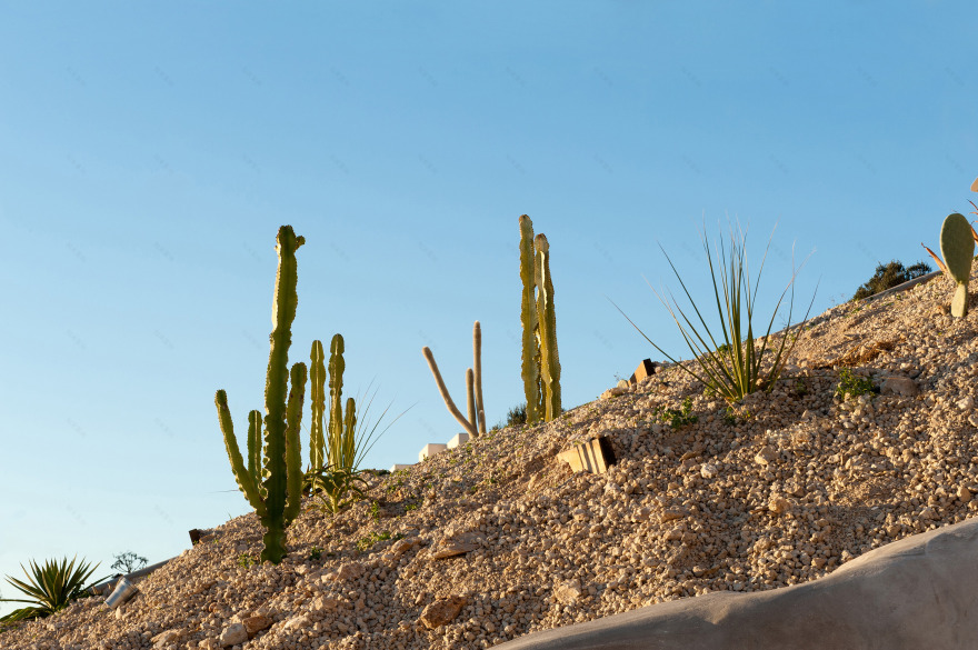 别墅建筑 · Summer house on the Mountain-19