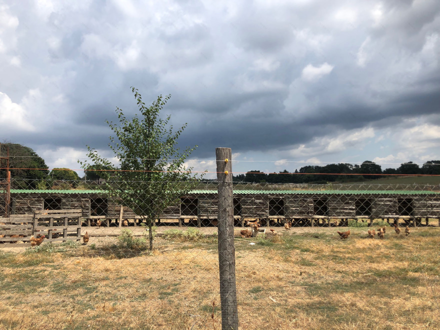 罗马北部田园别墅 | 红屋游泳池的现代建筑设计-8