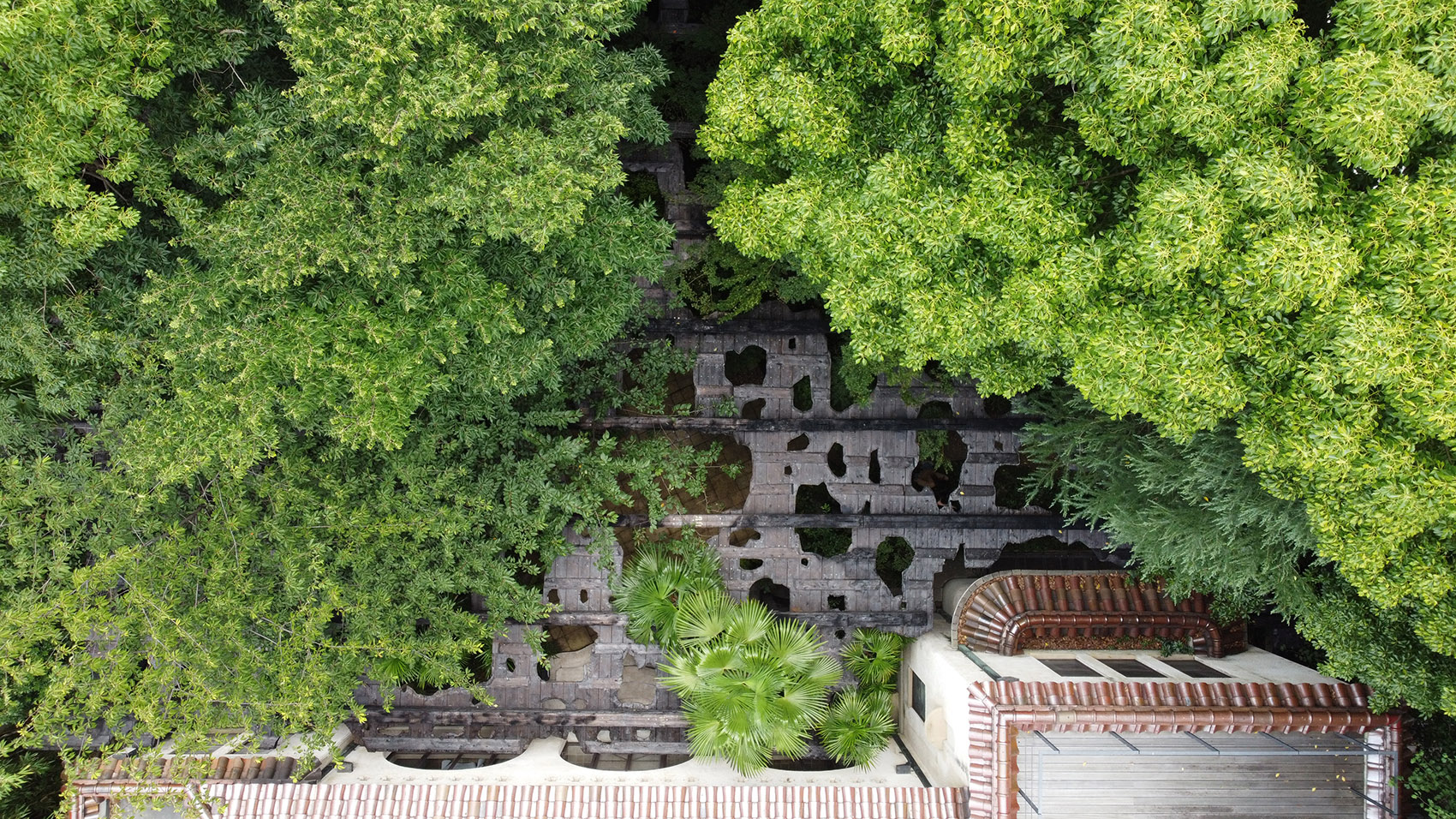木陰雲，东京/夏日午后古树间飘荡的凉影-7