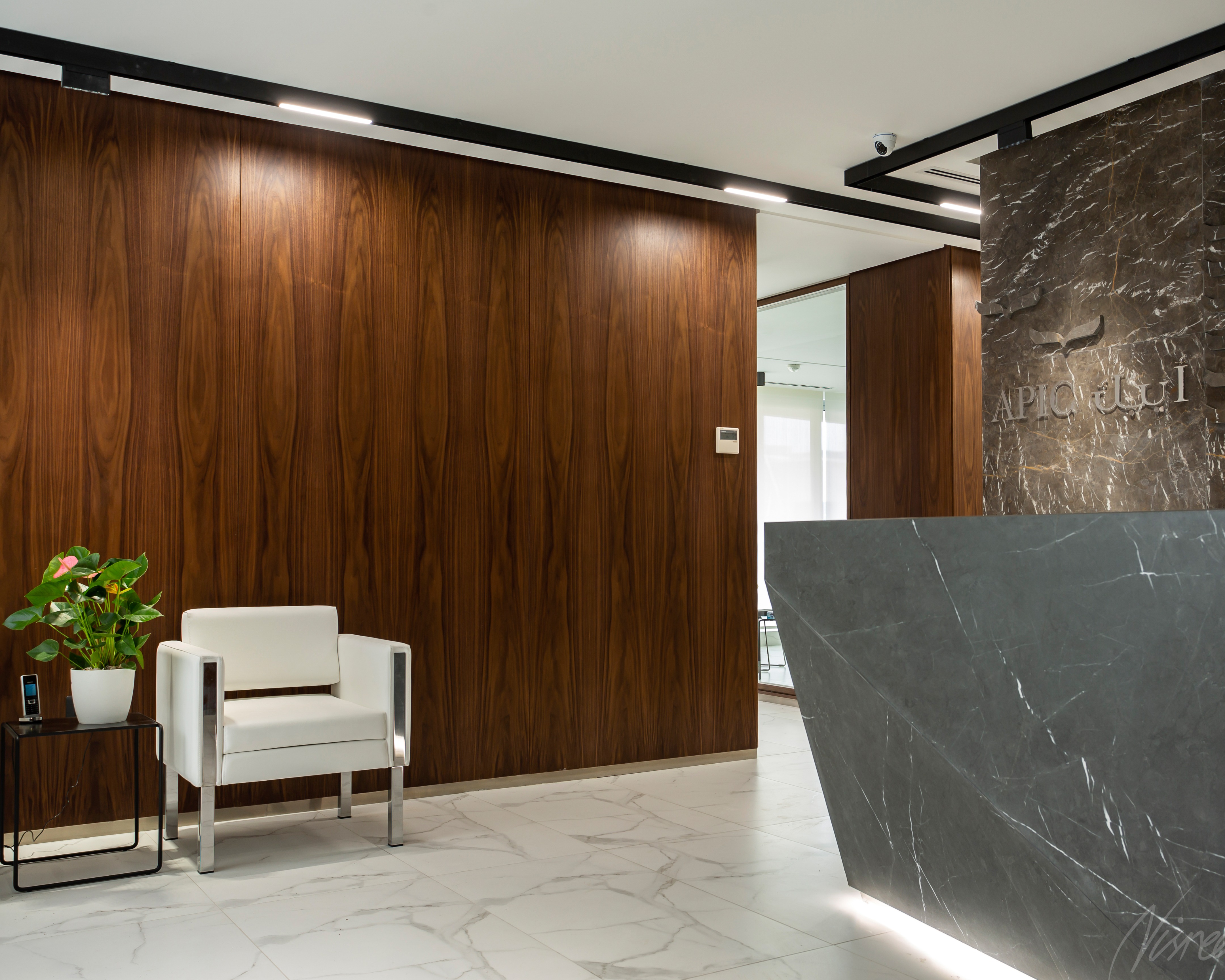 阿拉伯巴勒斯坦投资公司(APIC)-17