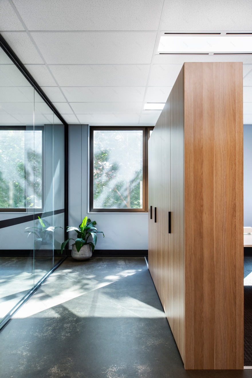 打造温暖现代办公环境,彰显品牌特色的 Endorphin Wealth Management 办公室设计-3