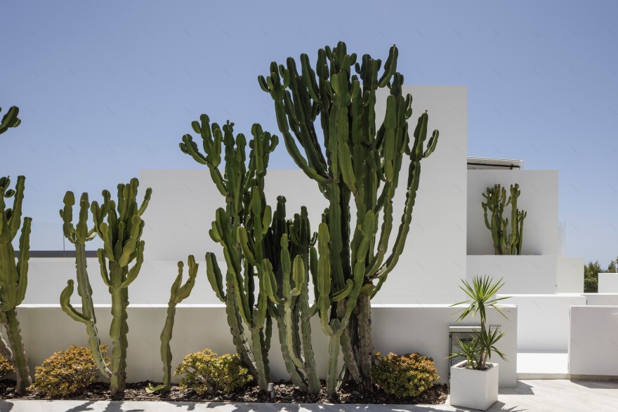 地中海风情的 Mediterraneo 02 别墅设计-5