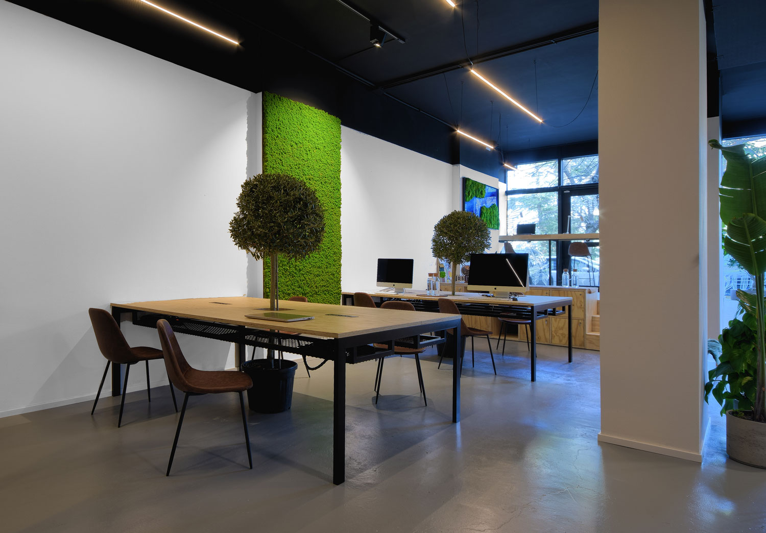 绿意盎然的工作空间-19