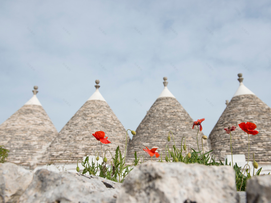 古老农庄的现代重生(Il complesso edilizio che costituisce la masseria “San Francesco”)-1