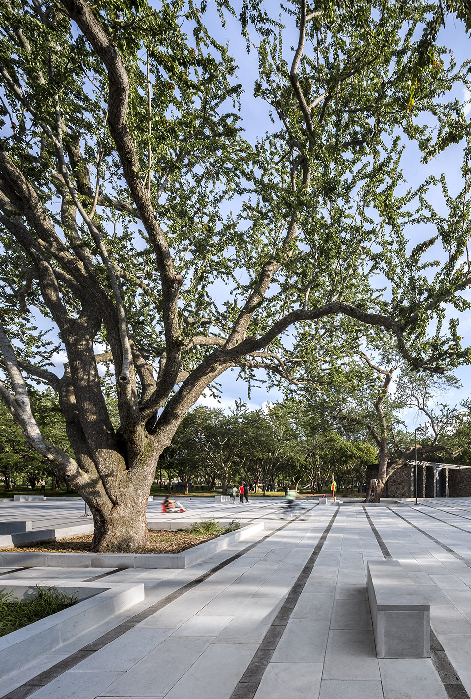 洪堤潭自然公园更新丨墨西哥瓜达拉哈拉丨SPRB arquitectos-20