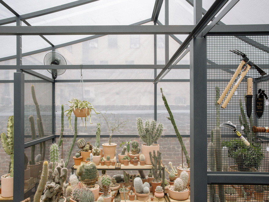 洛杉矶仙人掌商店-11