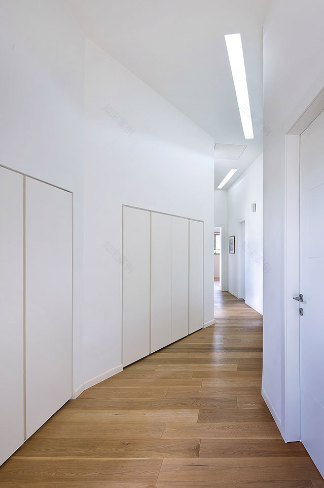 解构主义绿 avocado Grove Residence-5