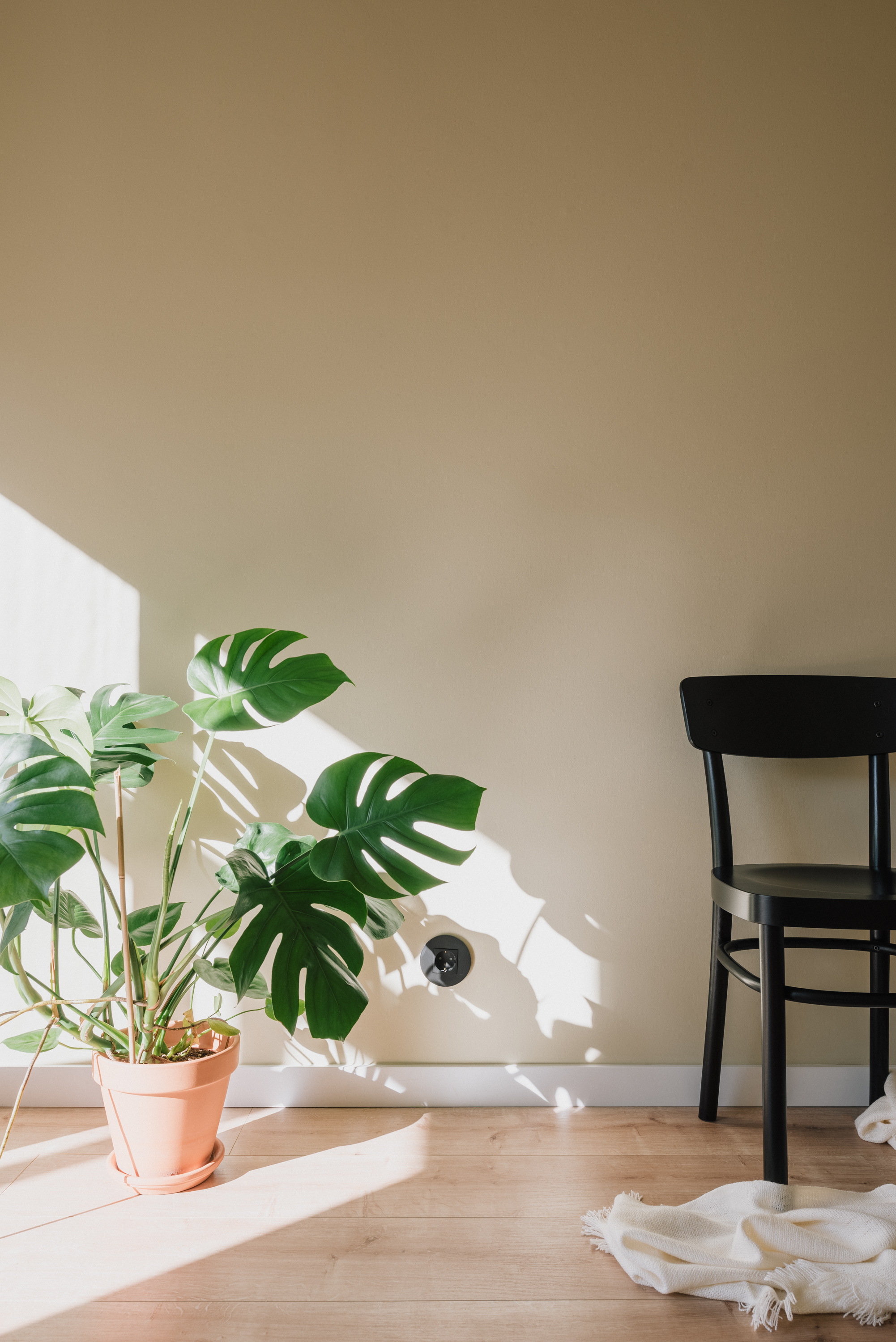 预算紧张的现代主义公寓改造-12