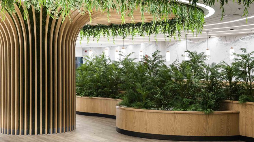 扎伊迪购物中心-13