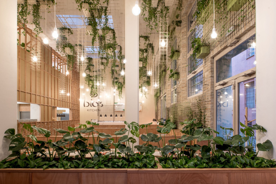 自然灵感餐厅“Bob - Bio’s Kitchen”-0