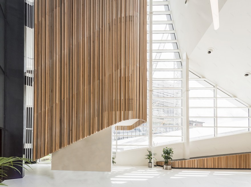 有机融合,Angelini 总部办公建筑-12