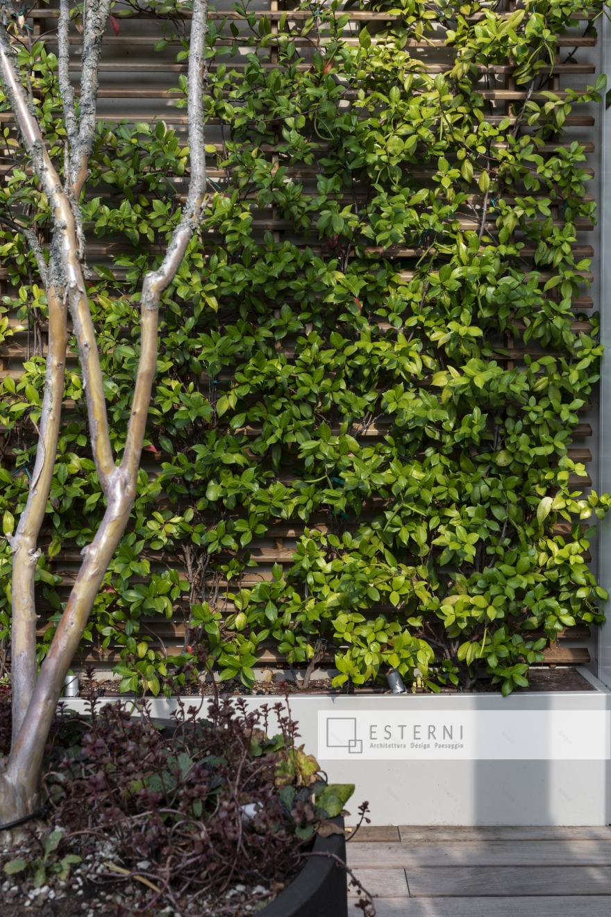 生态木阳台,全玻璃滑动面板,垂直绿墙,漂浮木地板-16