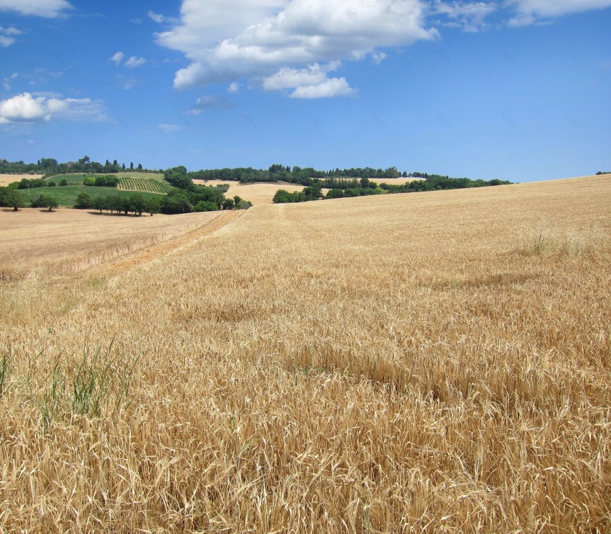 古堡新生命 | 意大利 Granarola 古堡室内设计解读-8