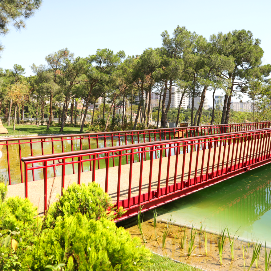 ADA University 校园景观设计-4