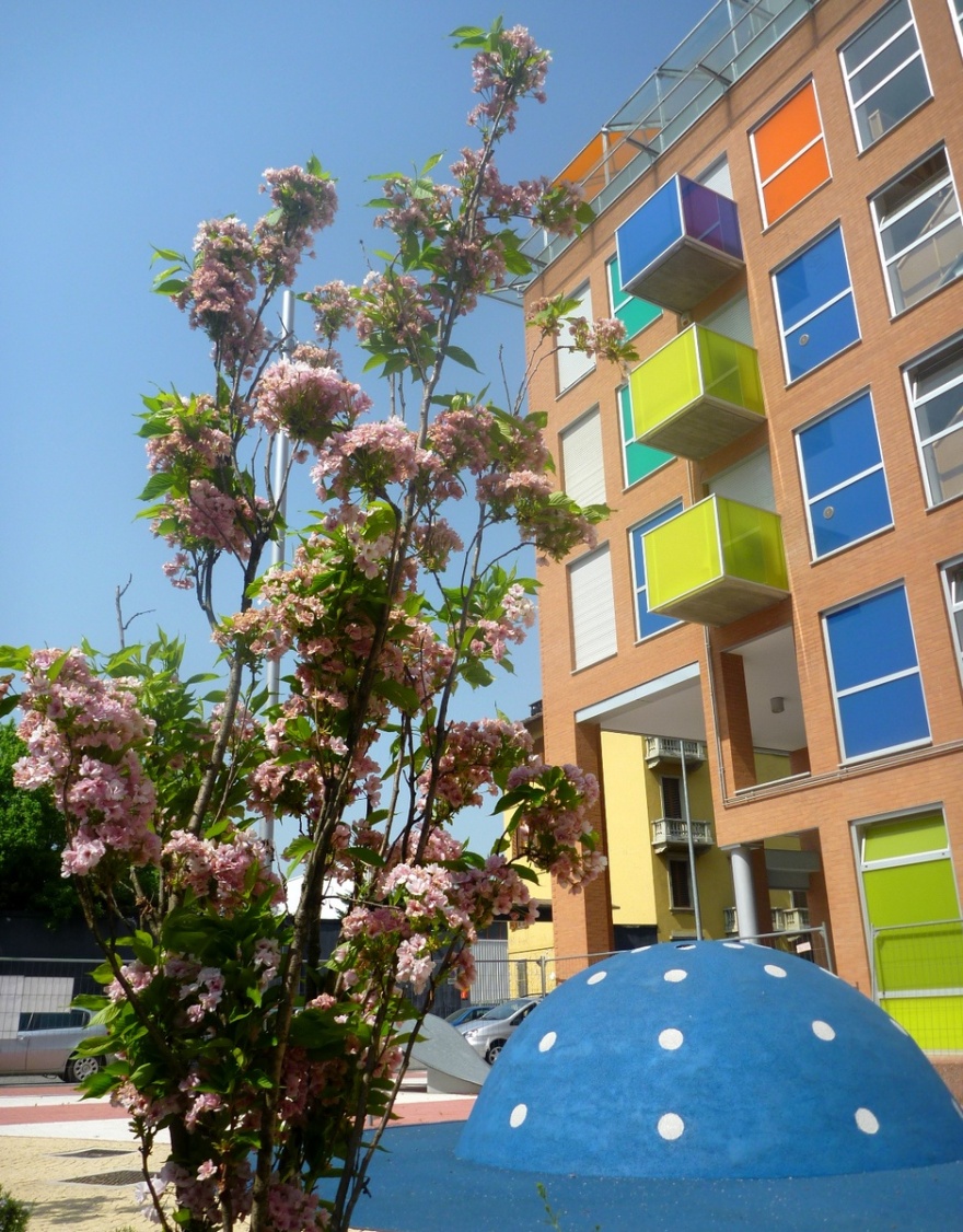 意大利面工厂花园-2