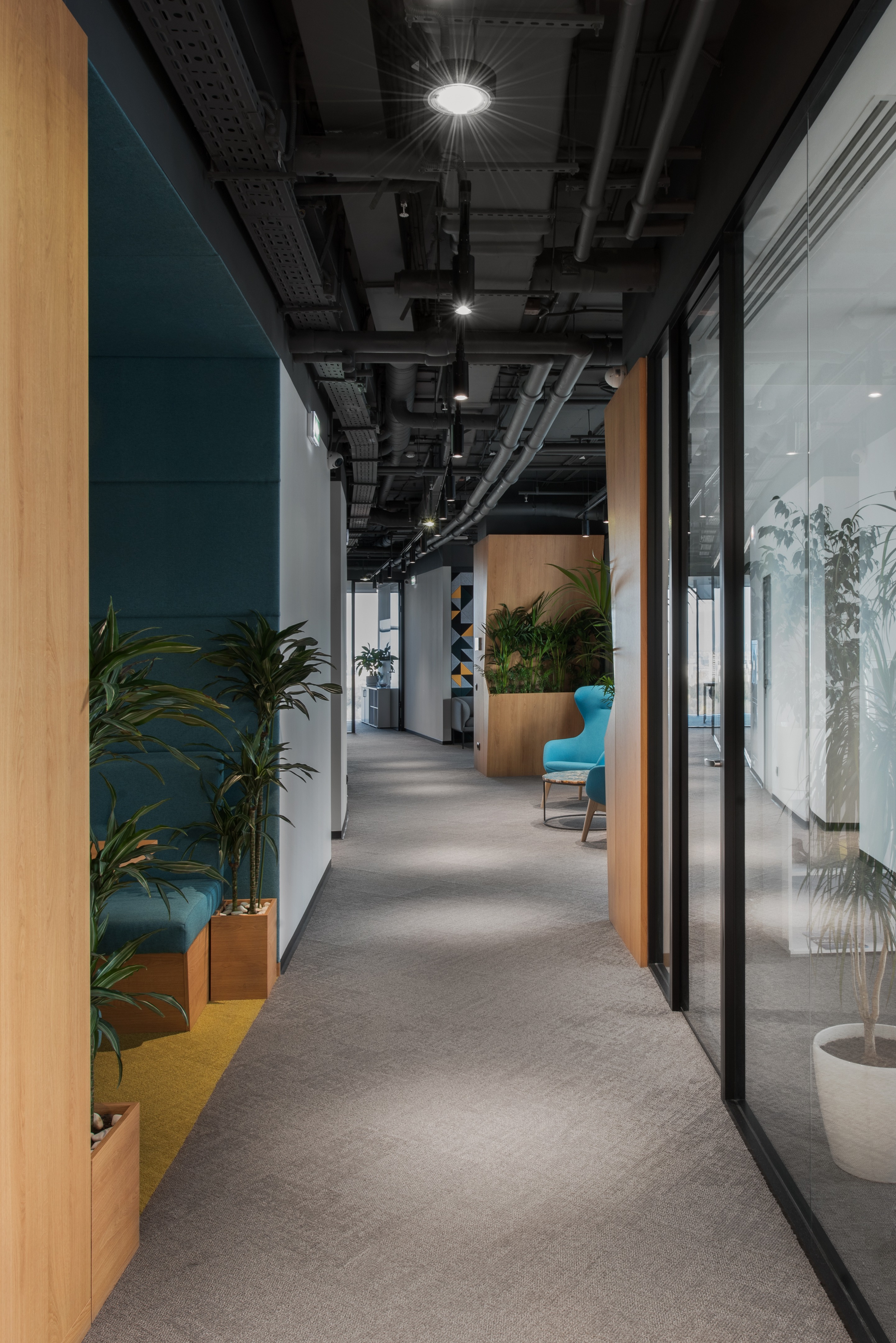 Tekta Group 舒适现代办公空间设计-3