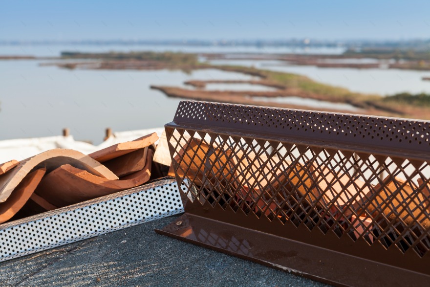 意大利小岛幼儿园的再生之旅-8