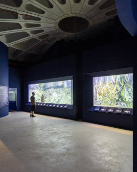 阿联酋 Khor Kalba 海龟保护中心丨Hopkins Architects