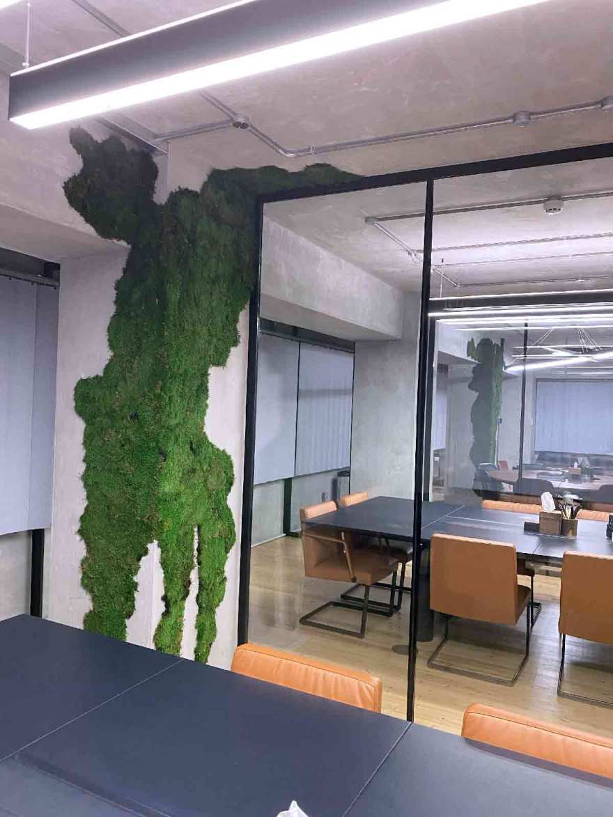 皇家松树与垂直花园的绿色办公空间-17