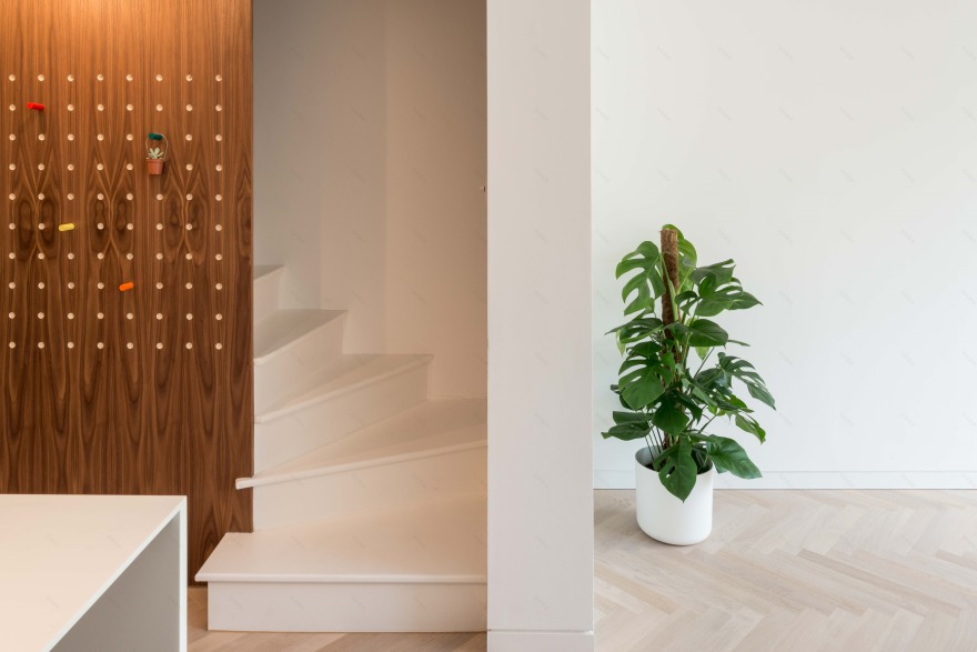 光影赞歌 | 伦敦 wandsworth 别墅改造-3