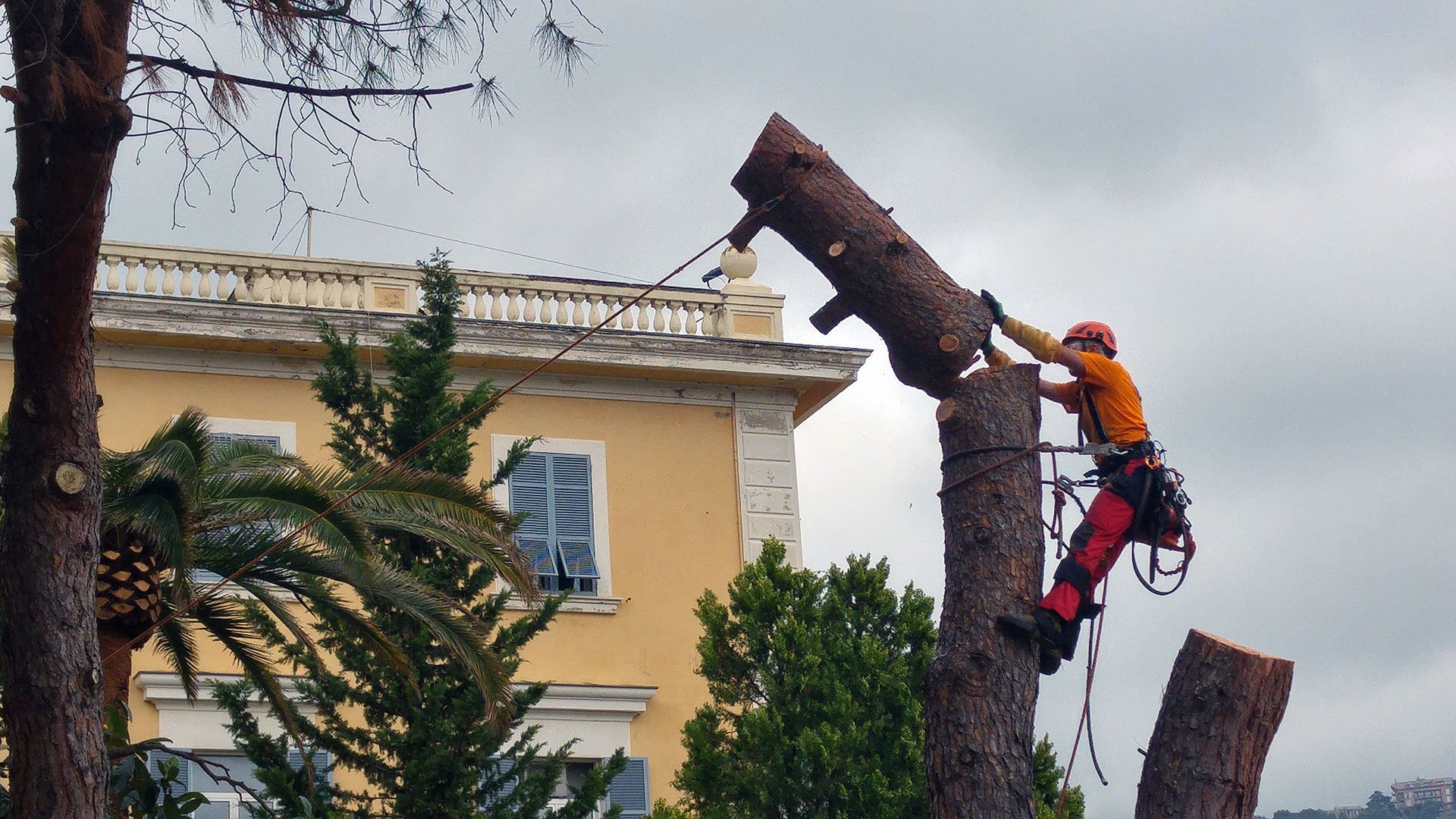 Asilo nido, Genova (2018-2019)-47