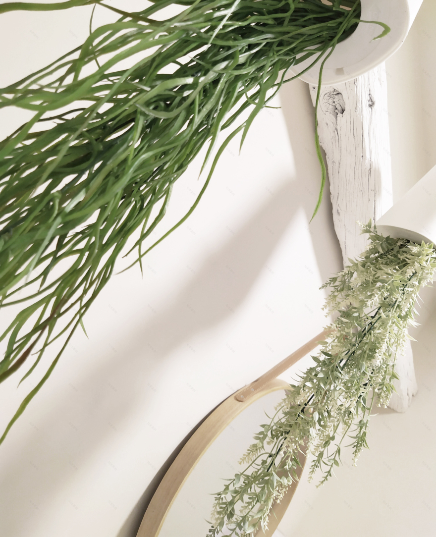 EDEN 牙科诊所设计-28