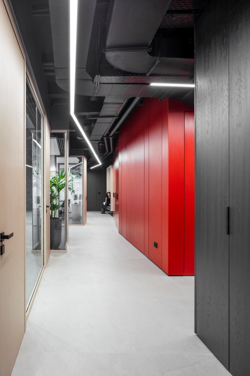 大胆创新,打造以色列顶级私募公司办公室-19