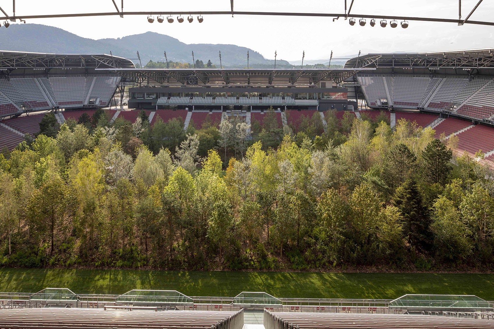 “致森林——自然不倦的魅力”展览，奥地利/足球场变身欧洲中部森林-36