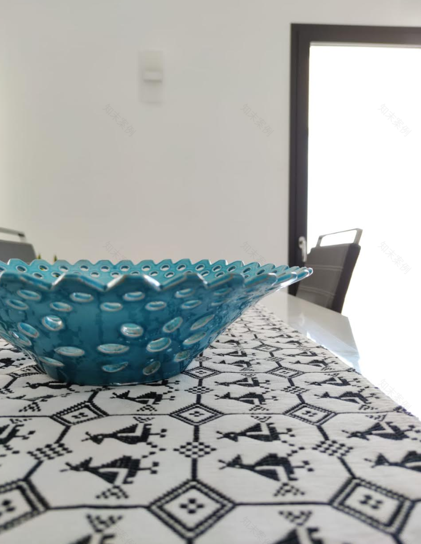 P+F 别墅 | 双层空间与自然融合的设计佳作-5