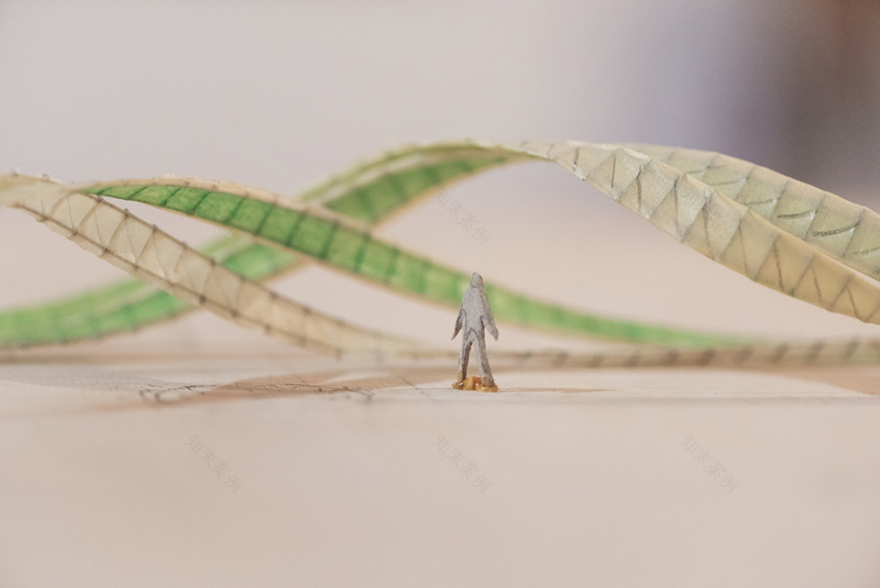 WOJR,Civitella Ranieri建筑奖-52