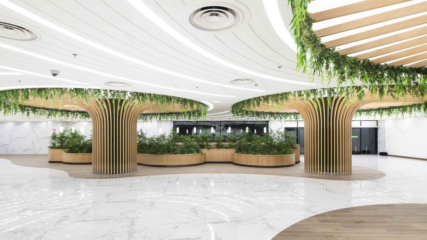 扎伊迪购物中心-4