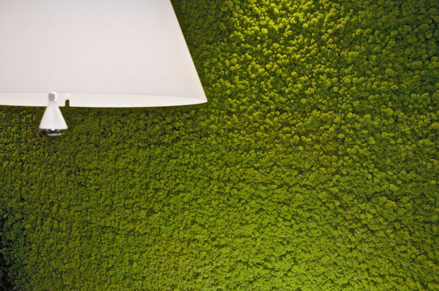 CETOC 办公室 · 绿色与红色的活力空间-7