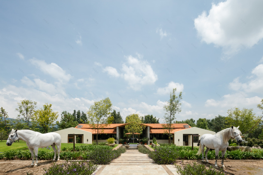 拉斯特拉牧场-2