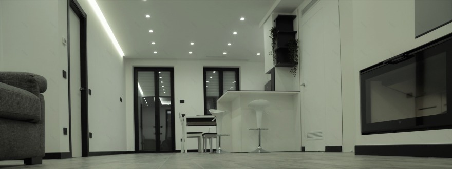 黑白风格公寓的节能环保设计-12