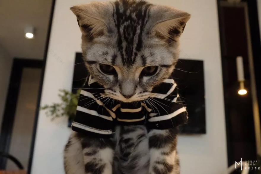 M空间设计工作室-80