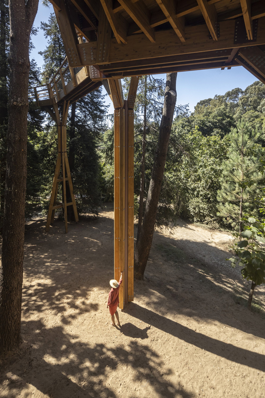 赛拉维斯公园树冠步道丨葡萄牙波尔图丨卡洛斯·卡斯塔涅拉建筑事务所-30