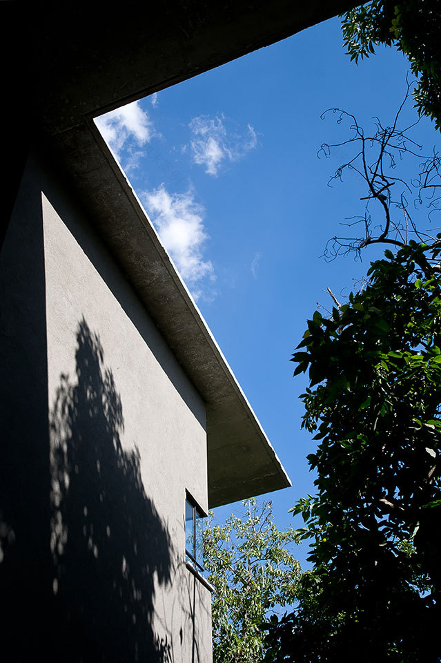 解构主义绿 avocado Grove Residence-20