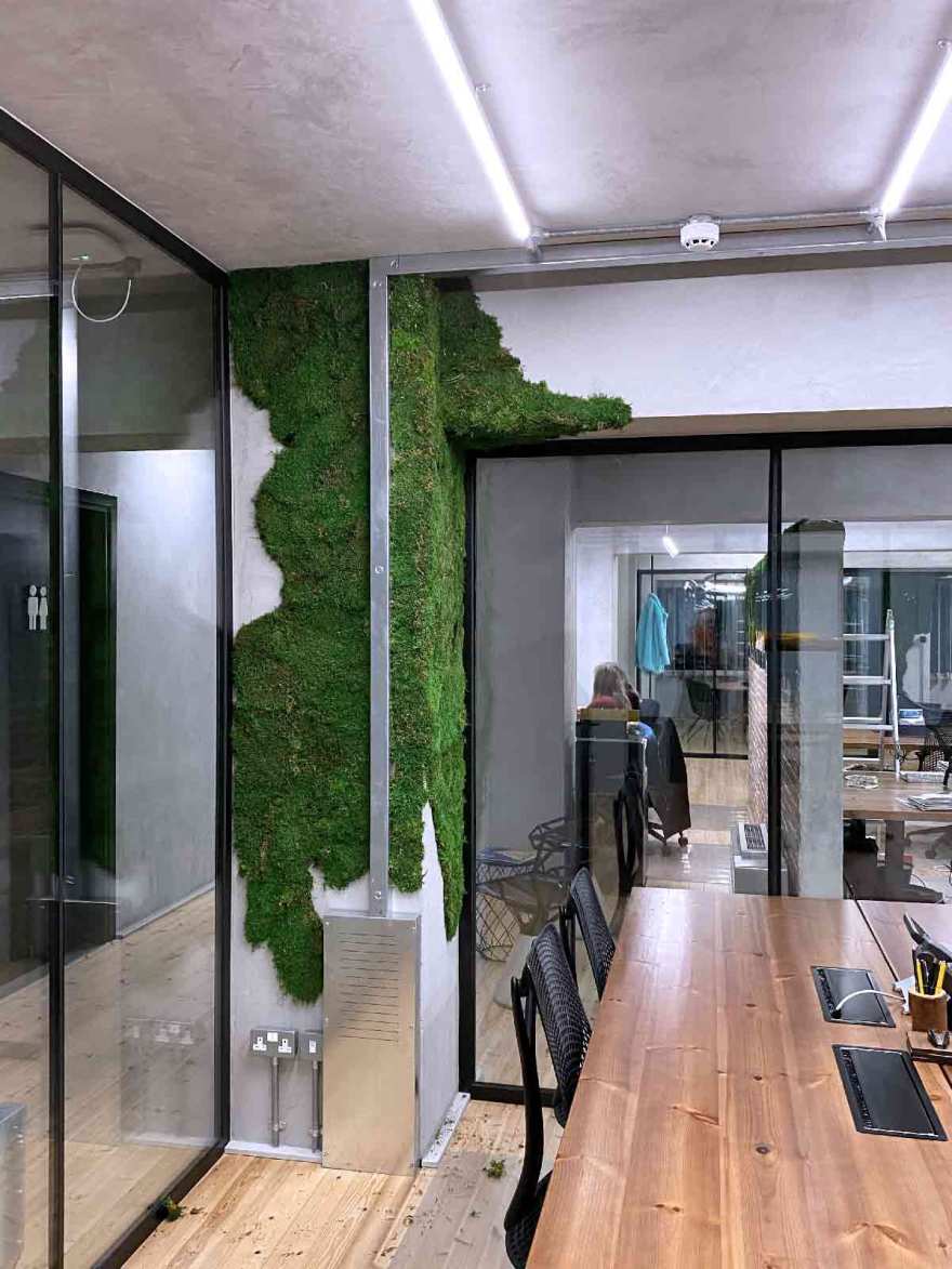 皇家松树与垂直花园的绿色办公空间-14