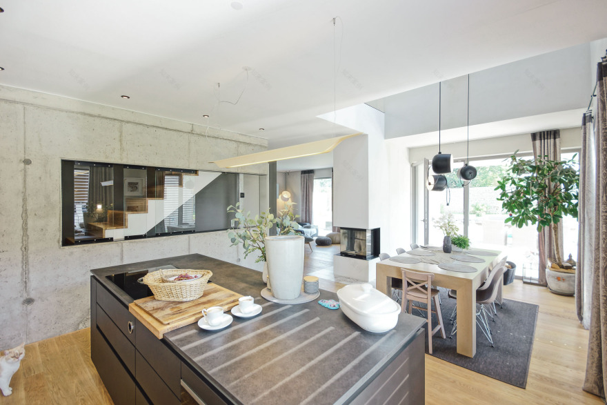 柏林 Brannenburger 单家庭住宅,创意布局实现多功能空间-8