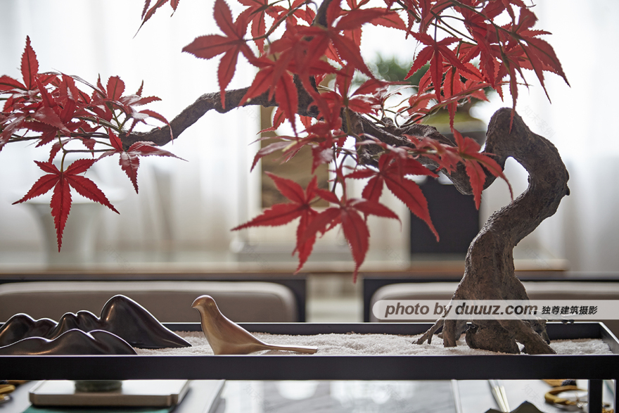 金地风华公馆丨中国东莞-23