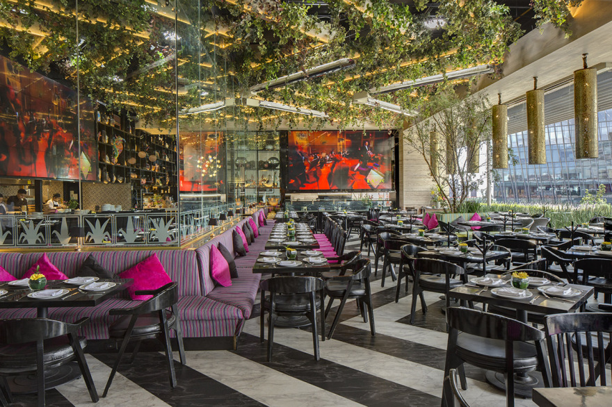 坎蒂娜·拉 20 号-7