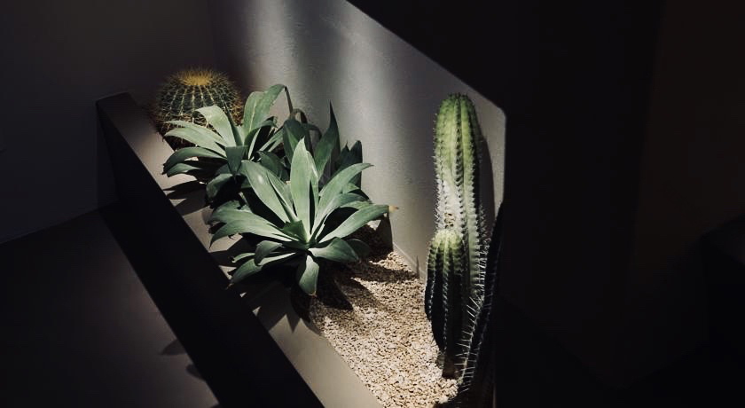 意大利"Li Reni"庄园-18