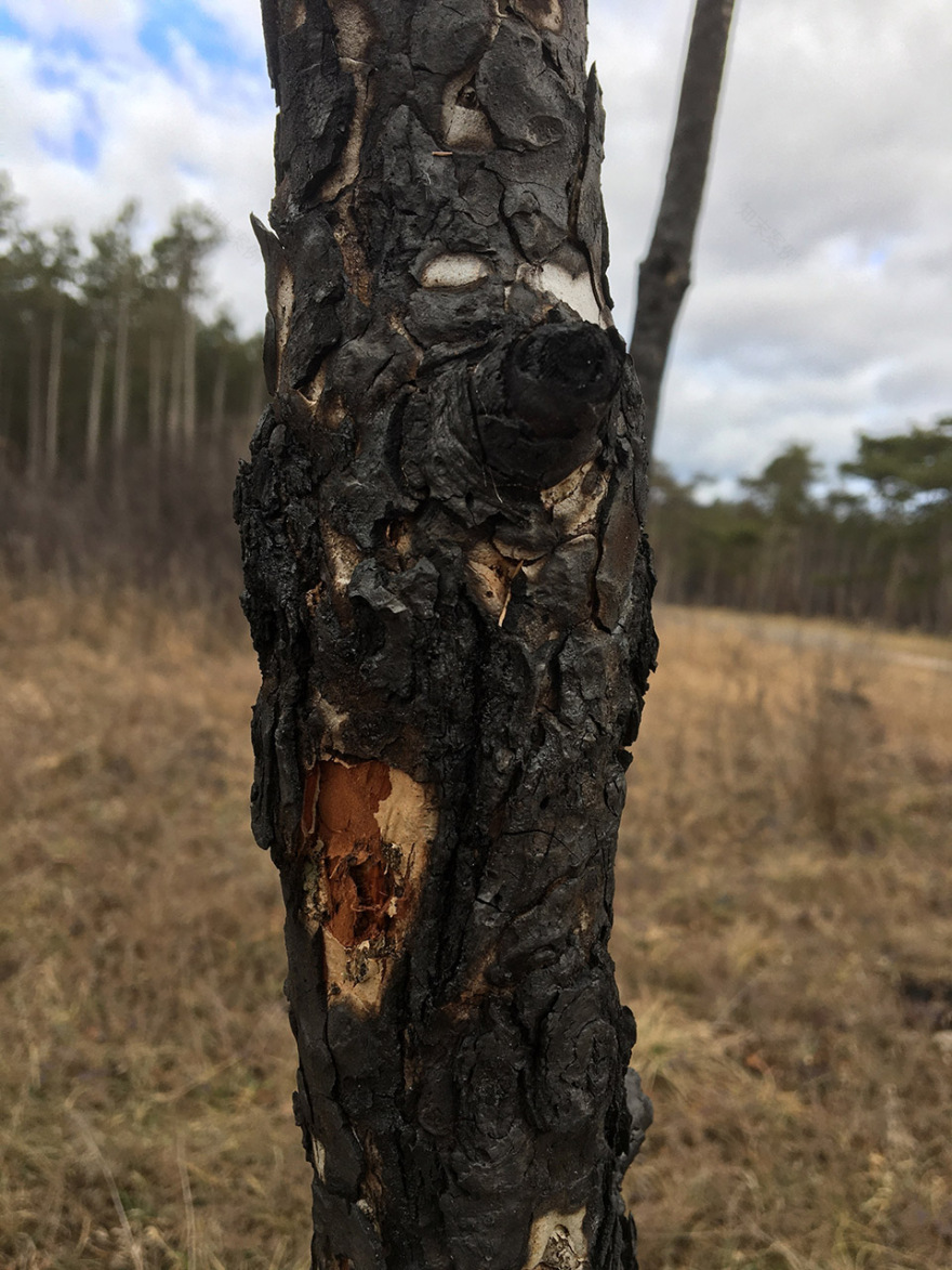 “呼唤希望”沉浸式装置丨奥地利维也纳丨Superflux设计工作室-51